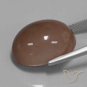Pietra di luna Marrone naturale da 30.75 ct, Ovale, Opaco