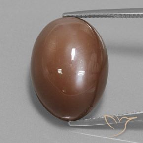 31.30ct Naturale Marrone caldo Pietra di luna, Ovale, Opaco