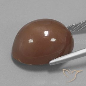Pietra di luna Marrone caldo naturale da 31.30 ct, Ovale, Opaco