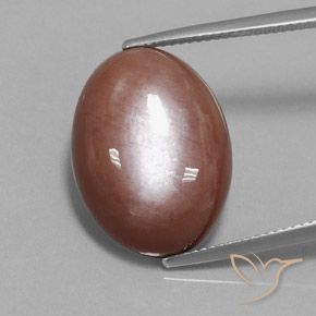 18.74ct Naturale Cannella Brown Pietra di luna, Ovale, Opaco