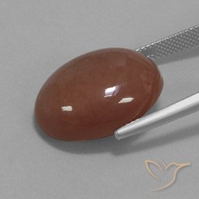 Pietra di luna Cannella Brown naturale da 18.74 ct, Ovale, Opaco