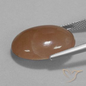 Pietra di luna Marrone medio naturale da 19.57 ct, Ovale, Traslucido
