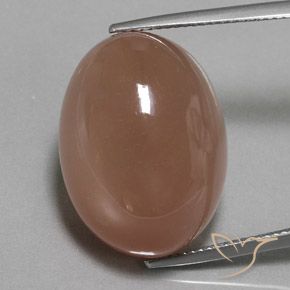29.74ct Naturale Marrone Pietra di luna, Ovale, Opaco