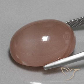 Pietra di luna Marrone naturale da 29.74 ct, Ovale, Opaco