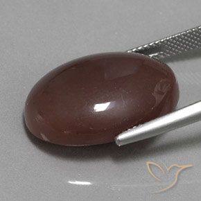Pietra di luna Marrone medio naturale da 18.53 ct, Ovale, Opaco