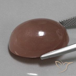 Pietra di luna Cannella Brown naturale da 26.33 ct, Ovale, Opaco