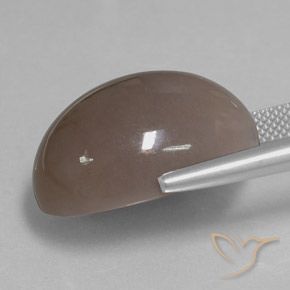 Pietra di luna Marrone medio naturale da 28.97 ct, Ovale, Opaco