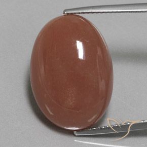 22.59ct Naturale Marrone medio Pietra di luna, Ovale, Opaco