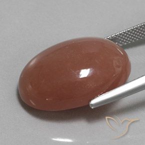 Pietra di luna Marrone medio naturale da 22.59 ct, Ovale, Opaco