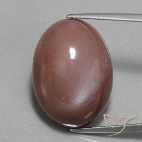 23.55ct Naturale Marrone medio Pietra di luna, Ovale, Opaco