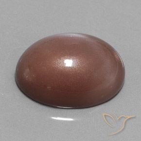Pietra di luna Marrone medio naturale da 23.55 ct, Ovale, Opaco