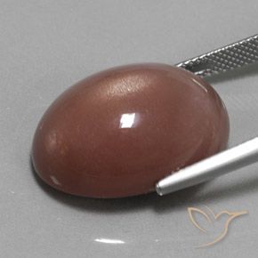 Pietra di luna Marrone medio naturale da 23.55 ct, Ovale, Opaco