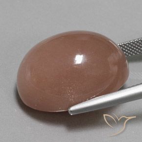 Pietra di luna Marrone rossastro naturale da 32.50 ct, Ovale, Opaco