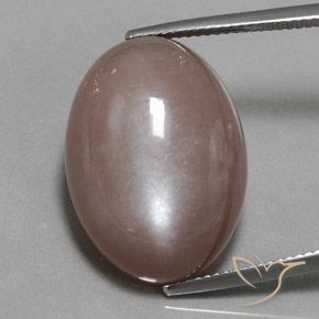 25.09ct Naturale Marrone chiaro Pietra di luna, Ovale, Opaco