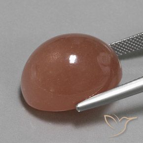 Pietra di luna Marrone rossastro naturale da 25.10 ct, Ovale, Opaco