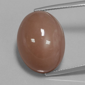 Pietra di luna Marrone caldo naturale da 27.02 ct, Taglio ovale, Opaco