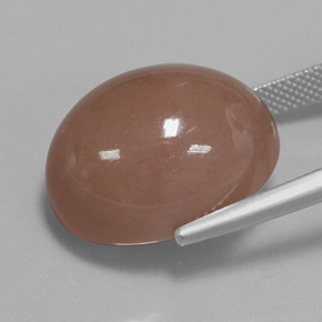Pietra di luna Marrone caldo naturale da 27.02 ct, Taglio ovale, Opaco