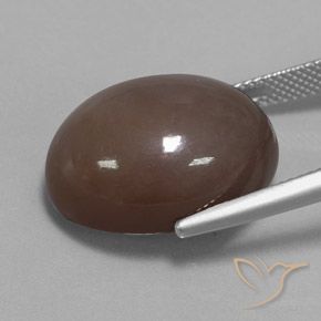 Pietra di luna Marrone cioccolato naturale da 21.72 ct, Ovale, Opaco