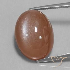 24.75ct Naturale Marrone caldo Pietra di luna, Ovale, Opaco