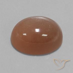 Pietra di luna Marrone caldo naturale da 24.75 ct, Ovale, Opaco