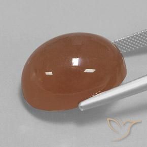 Pietra di luna Marrone caldo naturale da 24.75 ct, Ovale, Opaco