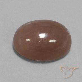 Pietra di luna Marrone medio naturale da 22.75 ct, Ovale, Opaco