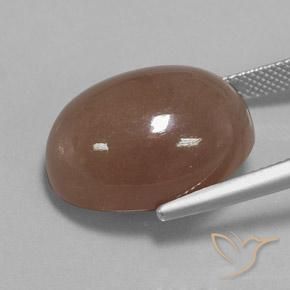 Pietra di luna Marrone medio naturale da 22.75 ct, Ovale, Opaco