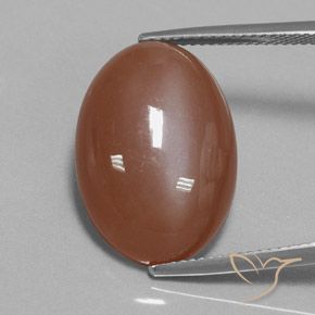15.54ct Naturale Cannella Brown Pietra di luna, Ovale, Opaco