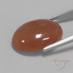Pietra di luna Cannella Brown naturale da 15.54 ct, Ovale, Opaco