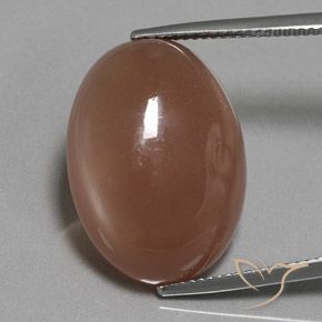18.61ct Naturale Marrone medio Pietra di luna, Ovale, Traslucido