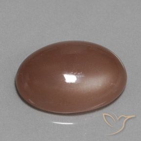Pietra di luna Marrone medio naturale da 18.61 ct, Ovale, Traslucido