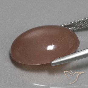 Pietra di luna Marrone medio naturale da 18.61 ct, Ovale, Traslucido