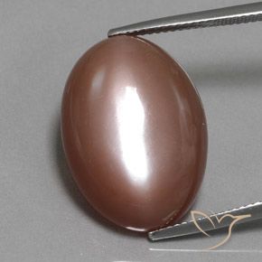 19.77ct Naturale Marrone caldo Pietra di luna, Ovale, Opaco