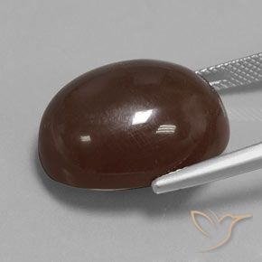 Pietra di luna Marrone medio naturale da 23.33 ct, Ovale, Opaco
