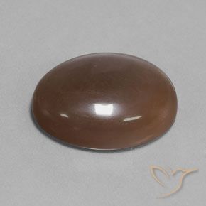Pietra di luna Marrone cioccolato naturale da 18.80 ct, Ovale, Traslucido