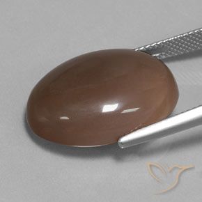 Pietra di luna Marrone cioccolato naturale da 18.80 ct, Ovale, Traslucido