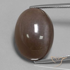 30.12ct Naturale Marrone cioccolato Pietra di luna, Ovale, Opaco