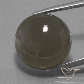 18.40ct Naturale Grigio Marrone Pietra di luna, Rotondo, Traslucido