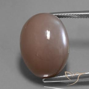 24.60ct Naturale Marrone medio-chiaro Pietra di luna, Ovale, Traslucido