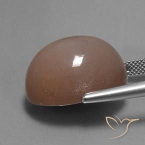 Pietra di luna Marrone medio-chiaro naturale da 24.60 ct, Ovale, Traslucido