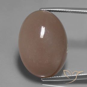 27.83ct Naturale Marrone chiaro Pietra di luna, Ovale, Traslucido