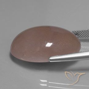 Pietra di luna Marrone chiaro naturale da 27.83 ct, Ovale, Traslucido