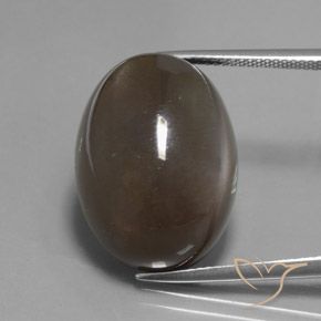 27.12ct Naturale ombra marrone Pietra di luna, Ovale, Traslucido