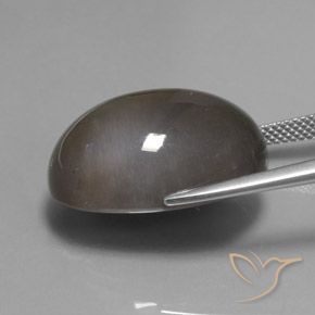 Pietra di luna ombra marrone naturale da 27.12 ct, Ovale, Traslucido