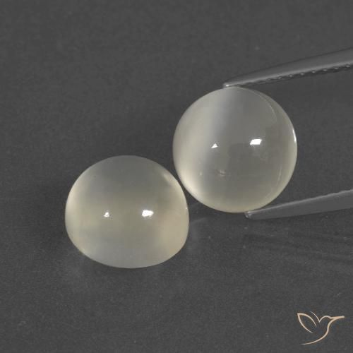 Gemme di Pietra di luna Bianco caldo naturale da 6.91 ct, Rotondo, Traslucido