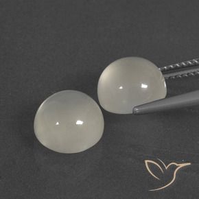 Gemme di Pietra di luna Bianco caldo naturale da 6.91 ct, Rotondo, Traslucido