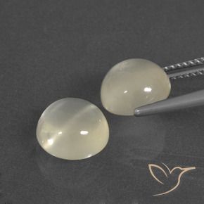 Gemme di Pietra di luna Bianco caldo naturale da 6.10 ct, Rotondo, Traslucido