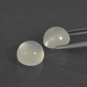 Gemme di Pietra di luna Bianco caldo naturale da 4.88 ct, Taglio rotondo, Traslucido