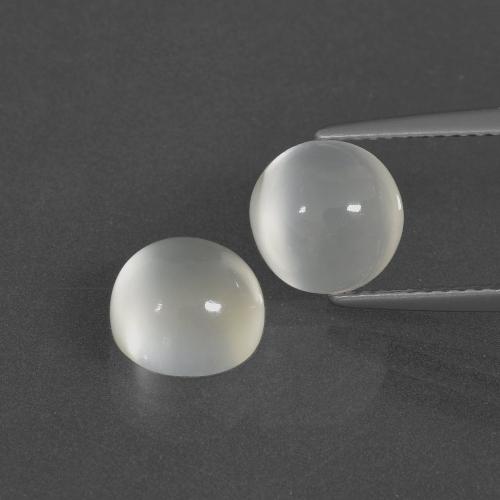 Gemme di Pietra di luna Bianco caldo naturale da 4.53 ct, Taglio rotondo, Traslucido
