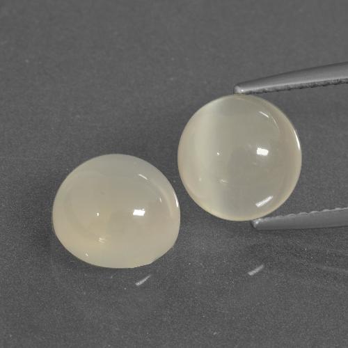 Gemme di Pietra di luna Bianco caldo naturale da 6.09 ct, Taglio rotondo, Traslucido
